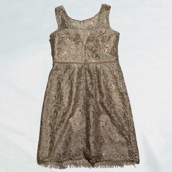 Jenny Yoo Collection Sliver and Cream Lace Cocktail Dress - Picture 3 of 12